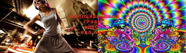 прущая мука Абаза